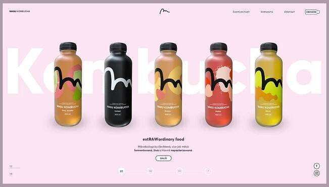 Packaging package design  branding  Corporate Identity ILLUSTRATION  logo identity Photography  advertisment kombucha