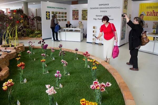 Fotogalerie: Začala jarní Flora: hlavní expozice bere dech - OLOMOUC.CZ