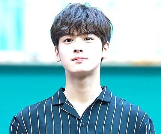 Cha Eun-woo Biography – Facts, Childhood, Family Life, Achievements