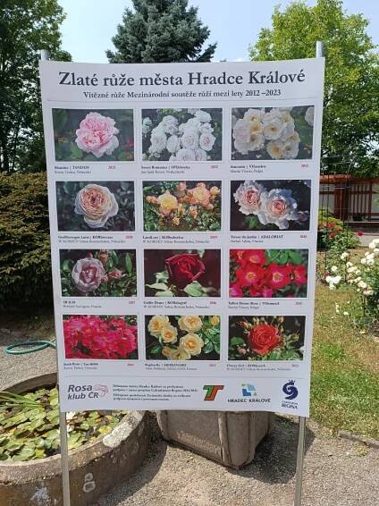 FOTO: Růže odkvétají. Rozárium v Hradci Králové zavírá