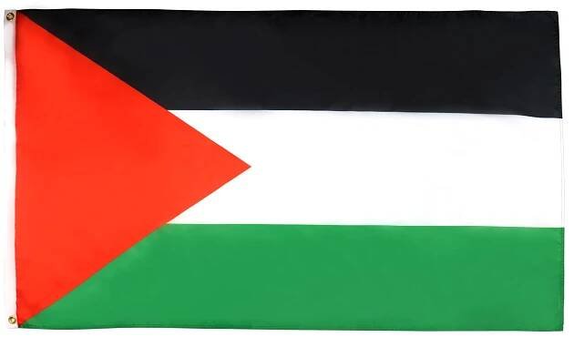 Palestine Flag | visitchile.cl