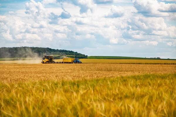 STARTUJEME KOMBAJNY, ZAČÍNAJÍ ŽNĚ! | Agrofert