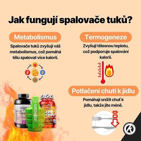 Srovnání spalovačů tuků: Jak si vybrat ten nejlepší | kulturistika.com