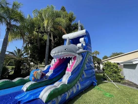 Shark Water Slide Rental