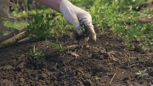 Jak pečovat o půdu na jarní zahradě