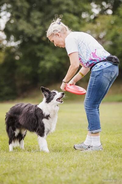 Fotky MR Dogfrisbee s Janinou (2018) - FotoHacko.cz