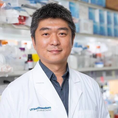 Jun Wu, University of Texas Southwestern