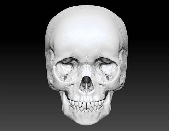 Art of Joseph Alexander Wraith - Child Skull