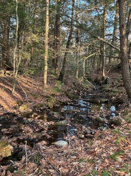 Berkshires Tyringham Conservation