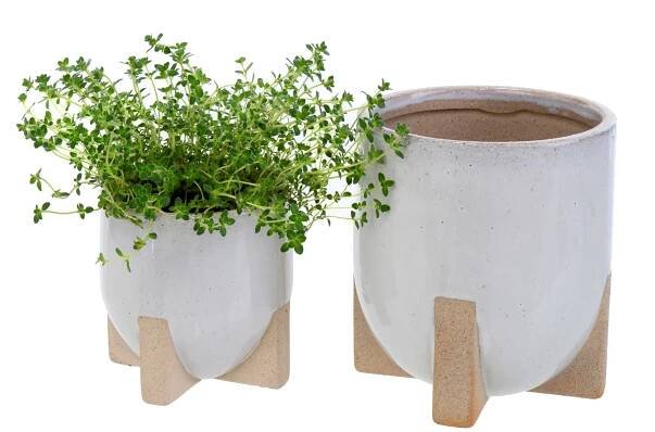 Garden & Patio – Pot & Pantry 