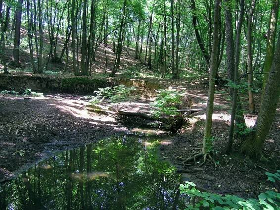 Přírodní park Rokytka – Wikipedie