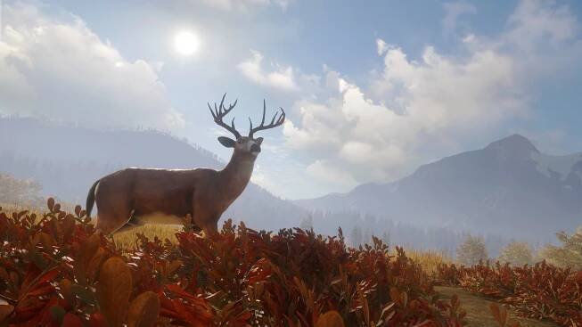 the hunter 5