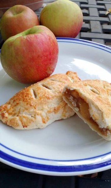 Apple Hand Pie - Martin's Hillside Orchard