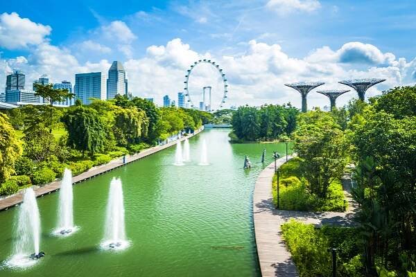 Iconic Supertree Grove at Gardens by the Bay