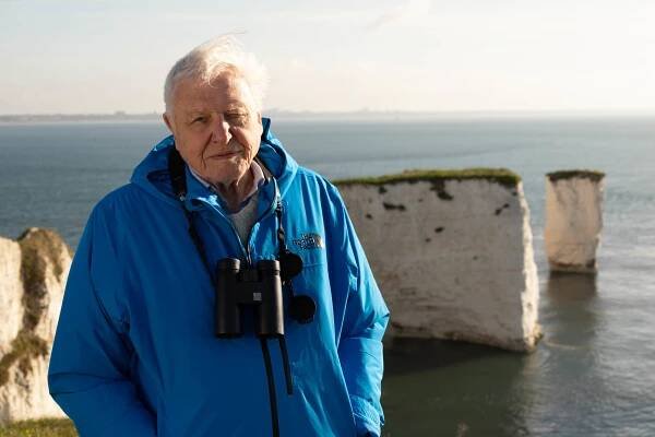 Sir David Attenborough: 5 magic moments on film