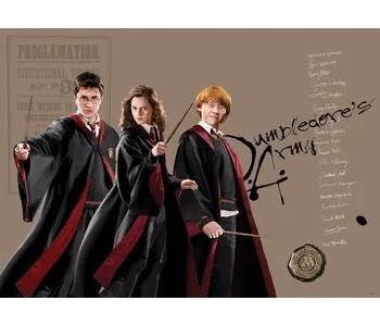 Dětská fototapeta HARRY POTTER a kamarádi