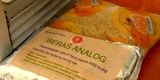 Hladovějící v Indonésii by mohla nasytit umělá rýže