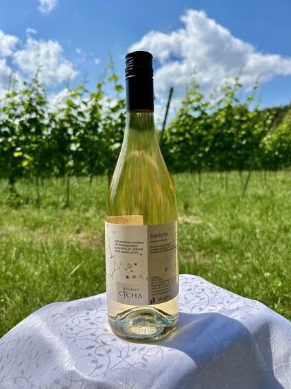 Sauvignon – Víno od Toma – Vinařství Cícha