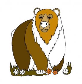 Omalovánka Medvěd Hnědý V Asii Online a Tisk zdarma pro děti!