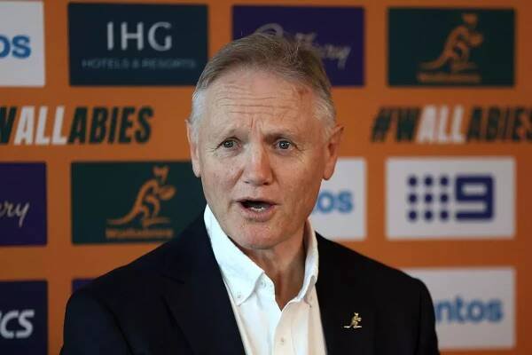 Wallabies head coach Joe Schmidt has reinvigorated the Aussies