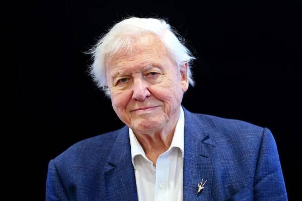 david attenborough injury worst unconscious