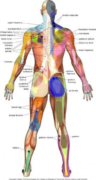 Trigger Points - TriggerPoint 