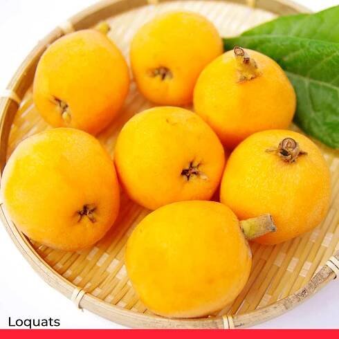 Loquats