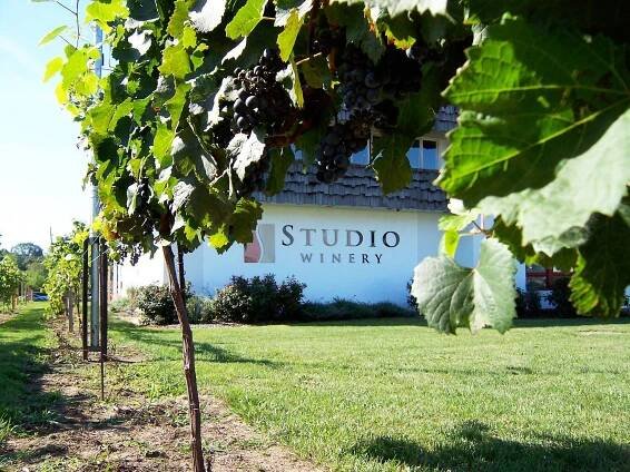 Studio Winery