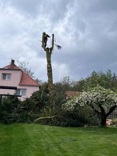 Rizikové kácení stromů od 1 500 Kč Postupice, Milovanice Tomáš Kopřiva - Arboristika a rizikové kácení • Firmy.cz