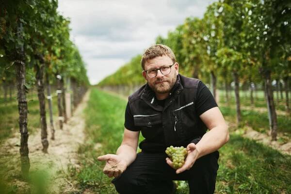 WEINGUT THIERY-WEBER-ARTUR TOIFL - Víno a krajíc