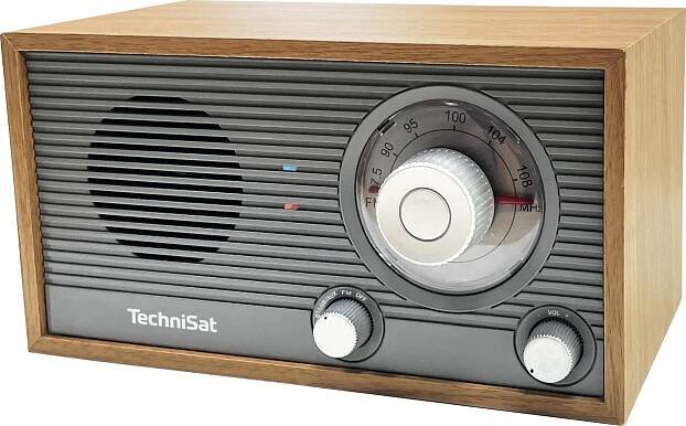 TechniSat Radiopřijímač FM Classic 205, gray/golden oak