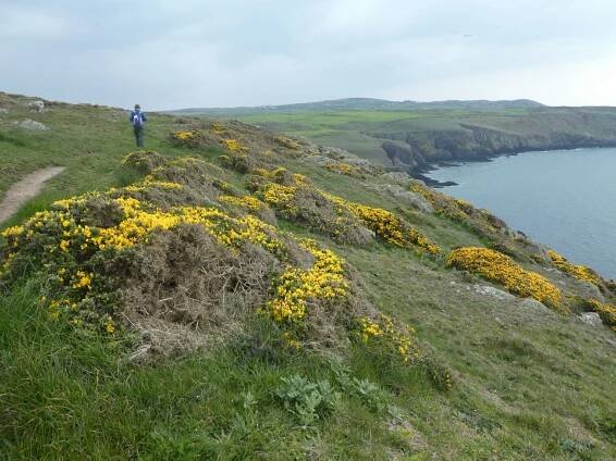 Anglesey Coastal Path, Wales (6 to 19 April 2019) – Moon River and We