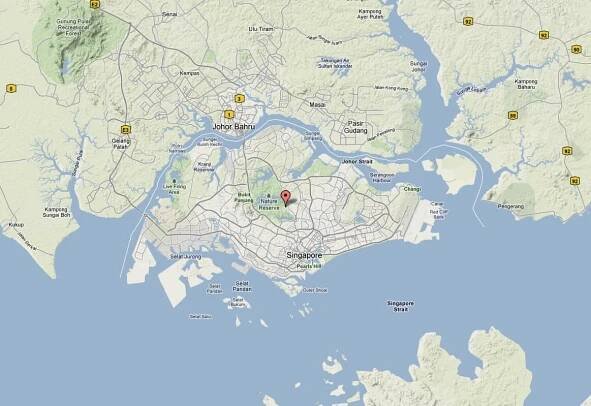 terrain map of singapore