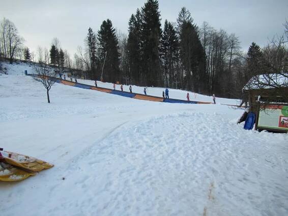 Mateřská škola Žižkova | Koťata jedou slalom na Bukovci