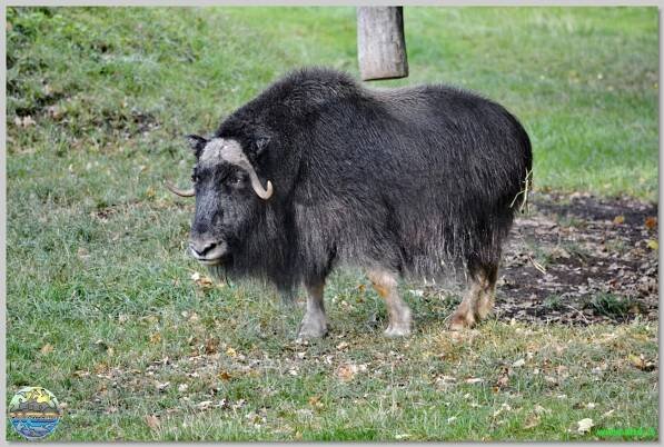 Zoopark Chomutov
