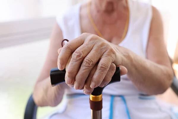 Reishi a Parkinsonova choroba: Výzkumy přinášejí pozitivní zprávy - Reishi, Ganoderma, Lingzhi, Lesklokorka lesklá