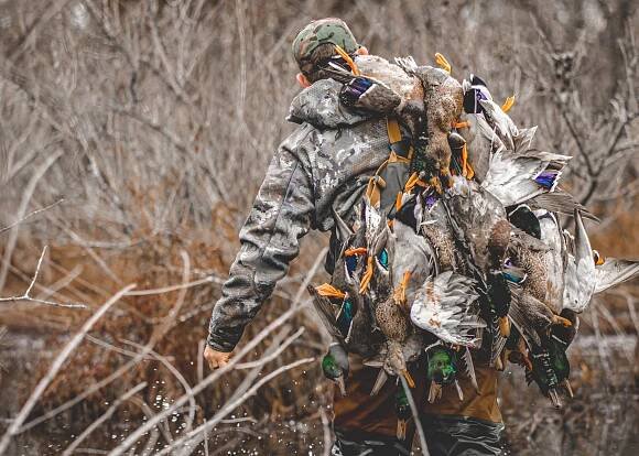 What Shells are Best for Waterfowl Hunting Pt 2