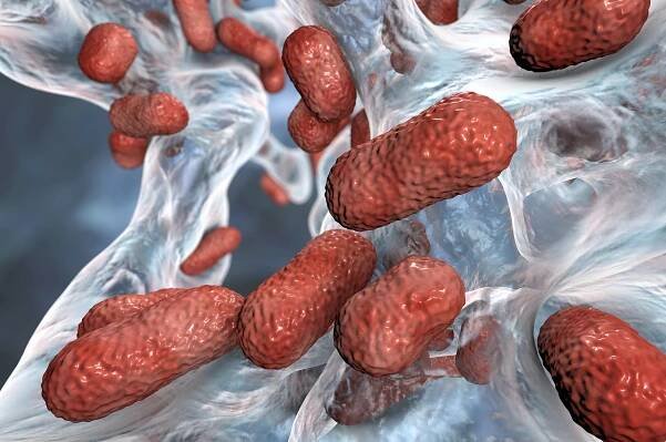 Jak zabít mistra přežití. Vědci možná objevili nový druh antibiotik