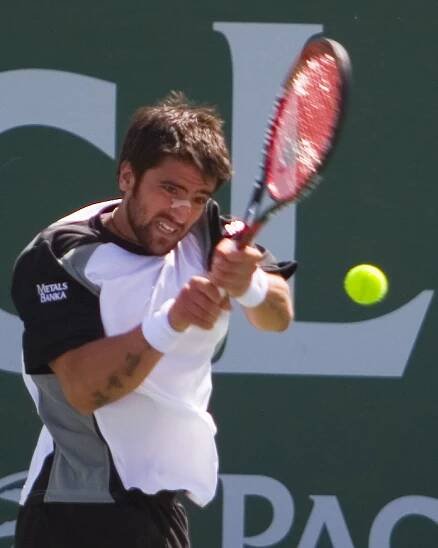 Soubor:Tipsarevic.jpg