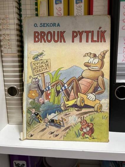 Kniha - Brouk pytlík - Knihy
