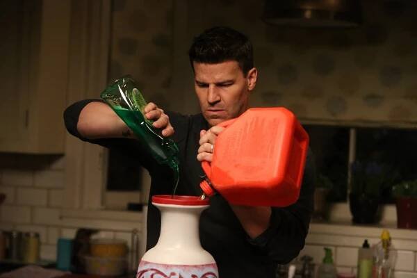 Sběratelé kostí - Samotář z přívěsu - Z filmu - David Boreanaz