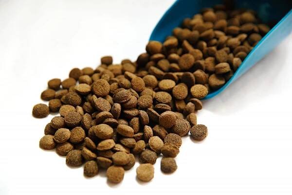Slovenské granule pre psov Patriot s divinou