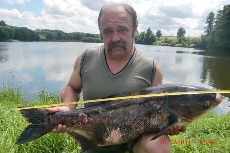 Rybník Staňkovský Tolstolobik -95 cm - 35 kg - 10.7.2011