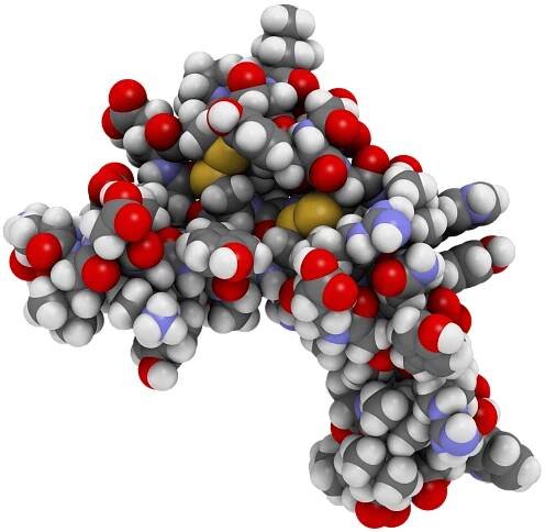 Cystatin C