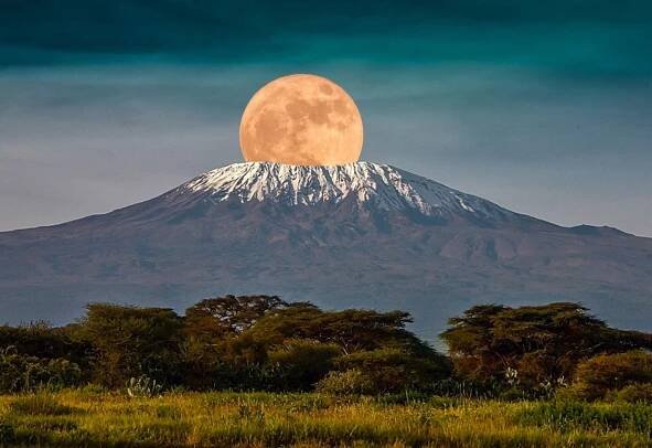 Kilimanjaro National Park - Tanzania Hiking Safaris