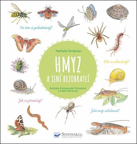 Hmyz a jiní bezobratlí - Image 2