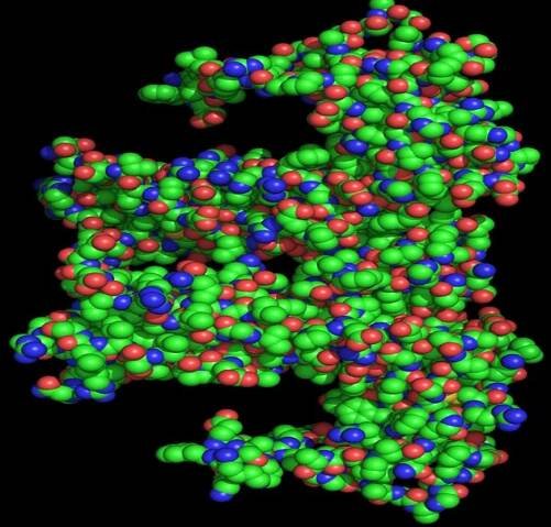 Erythropoietin (EPO-hormone) Esthetics - Famous Proteins in Frames