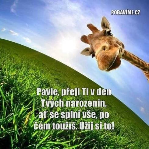 Přání k svátku pro Davida | Pobavime.cz
