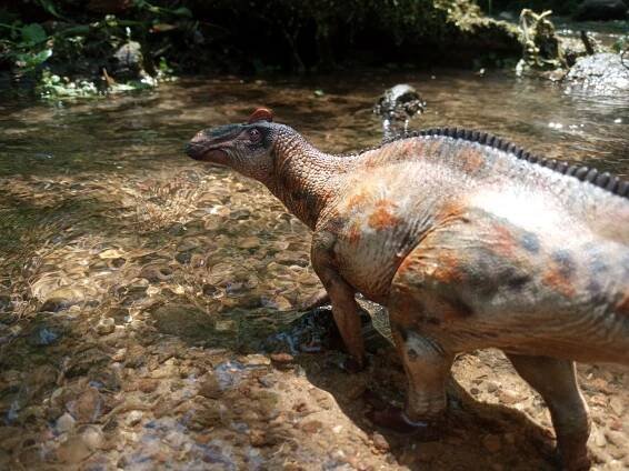 edmontosaurus on Tumblr