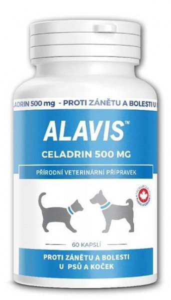 ALAVIS Celadrin 500mg 60 tablet cena od 399 Kč